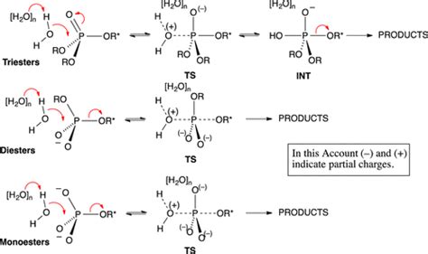 Phosphate Ester Synthesis