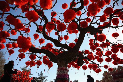 Chinese New Year: Countries Ring in the Year of the Horse | Time