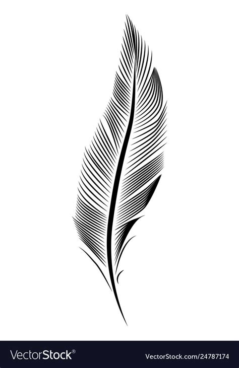 Feather drawing engraving line art Royalty Free Vector Image