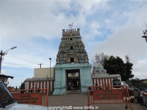 Kurinji Andavar Murugan Temple | Kodaikanal Temple | Shanmuga Temple