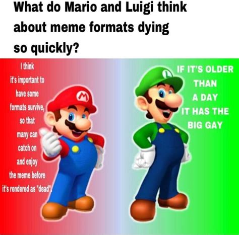 What do Mario and Luigi think about meme formats dying so quickly? I ...