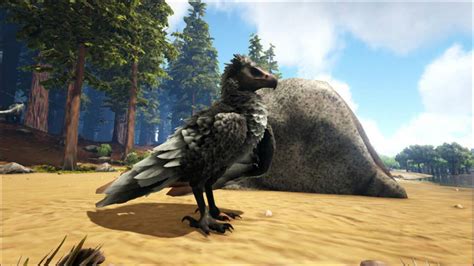 Ark spawn argentavis