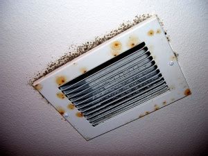 8 Photos Mold In Air Conditioner Symptoms And View - Alqu Blog