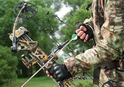 The 5 Best Hunting Bows 2021 - [Compound & Recurve]