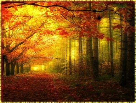 Fall Thanksgiving Wallpaper - WallpaperSafari