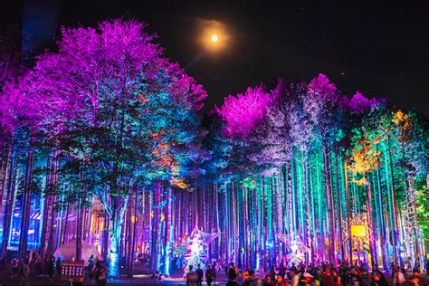 Get Awe-Struck by These Sherwood Forest Shots From Electric Forest 2018 ...