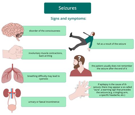 Seizures | Other life-threatening conditions | First Aid | Faculty of ...