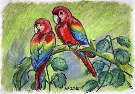 ArtStation - Ara Parrots