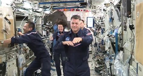 This Wholesome Video Of Astronauts Swimming In Space Deserves Its Own ...