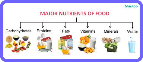 [Class 6 Science] Name the major nutrients in our food - Teachoo