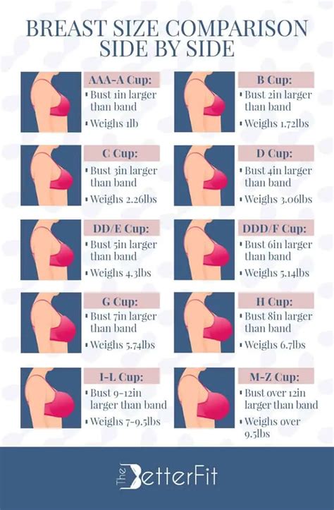 Cup Size Comparison Chart