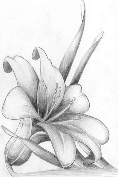 white-background-how-to-draw-a-flower-easy-black-and-white-pencil ...