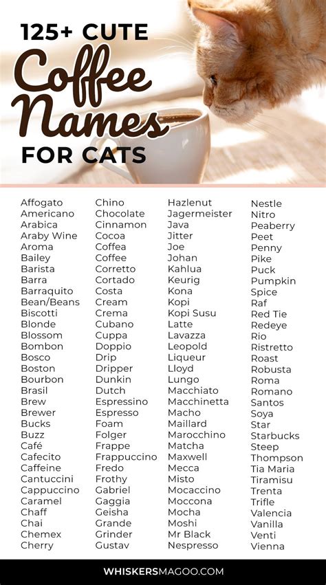 Pin on Cat Names | Cat Name Ideas and Inspiration