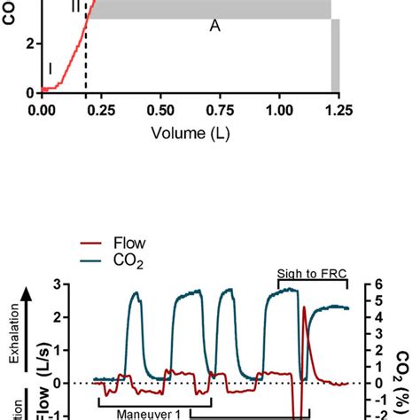 Sample capnogram (top), with exhaled CO 2 (%) plotted as a function of ...