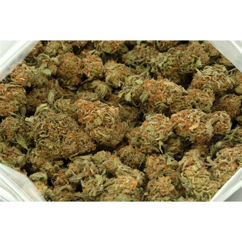 Lemon Cake Strain | Buy Cannabis at Weed-Deals