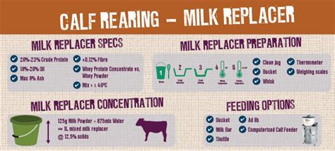 Milk replacer: 'All feeding systems work once you are consistent in ...