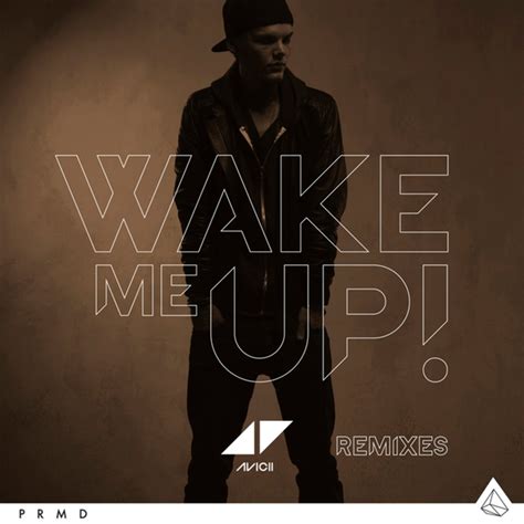 Wake Me Up (Remixes) by Avicii on Beatsource