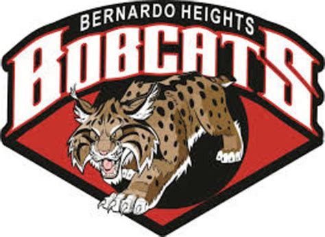 Mr. P's bobcats - Badge List