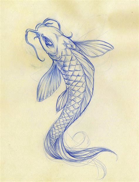 only if it looked exactly like this | Koi fish drawing, Fish sketch ...