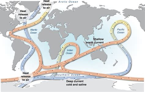 World ocean thermohaline circulation | The global conveyor b… | Flickr