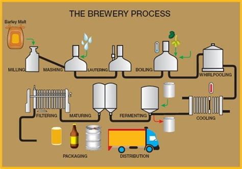 Brewing : Beer making Process - The Science Notes