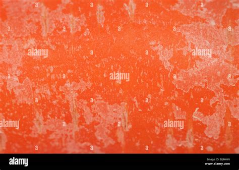 carrot abstract background macro texture Stock Photo - Alamy