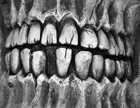 Skeleton Skull Teeth Free Stock Photo - Public Domain Pictures