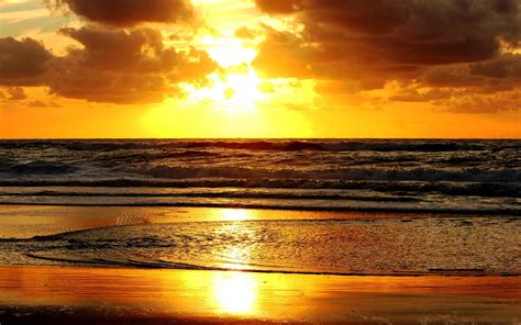 Golden Beach At Sunset HD desktop wallpaper : Widescreen : High ...