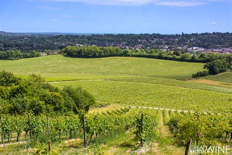 denbies_vineyard-overlook - Great British Wine