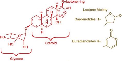 1 Chemical structure of cardiac glycosides (CG) with two basic ...