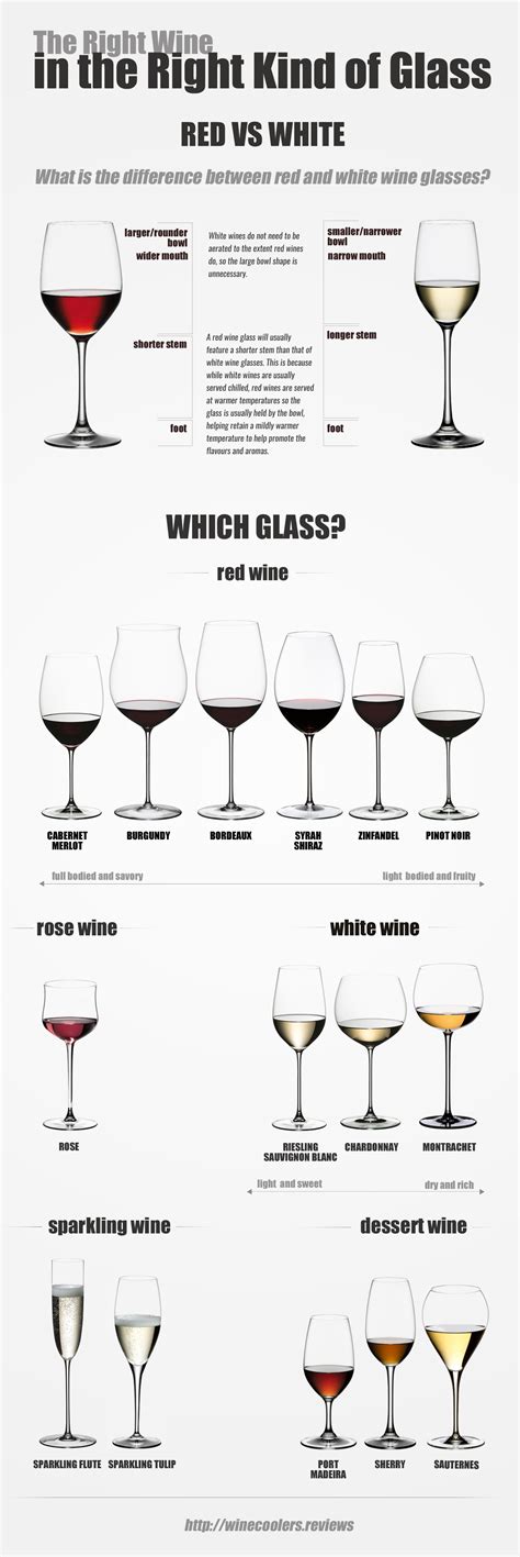 Types of Wine Glasses [Infographic]