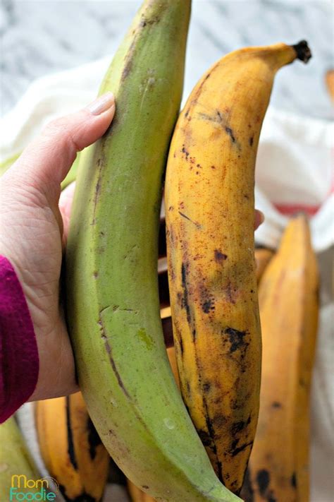 How to select ripe plantains | Plantains fried, Plantains, Ripe plantain