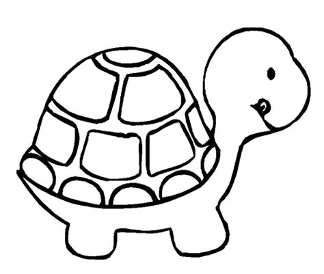 Turtle Drawing | Free download on ClipArtMag