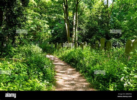 Path and gravestones at historic Tower Hamlets Cemetery Park and nature ...