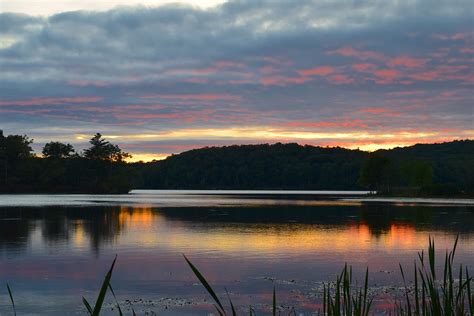 Lake,sunset,park,forest,water - free image from needpix.com