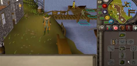 OSRS Minnows Fishing Guide - NovaMMO