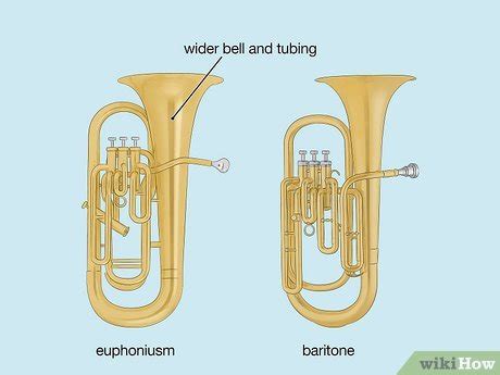 Euphonium vs. Baritone: Size, Sound, & Shape