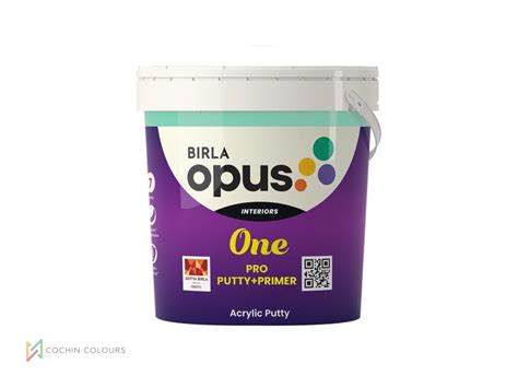 Birla Opus One Pro Putty+Primer: Fast Track to Smooth Painting - Cochin ...