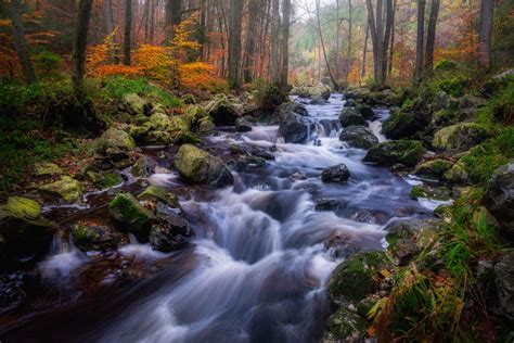 The last bits of autumn in the Belgium Ardennes (1920x1280)[OC] : r ...