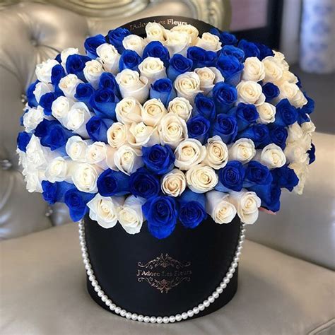 baby blue roses delivery - Tuyet Minter