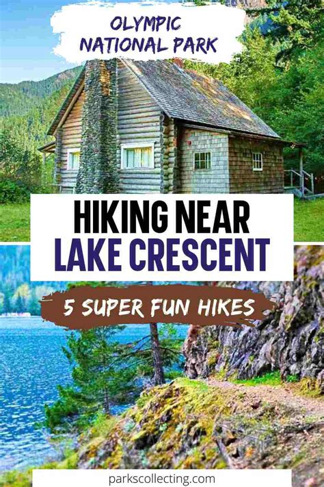 5 Best Hikes Near Lake Crescent In Washington