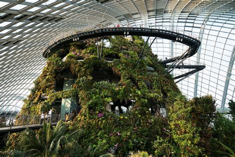 Gardens by the Bay, Cloud Forest Conservatory's Cloud Mountain ...