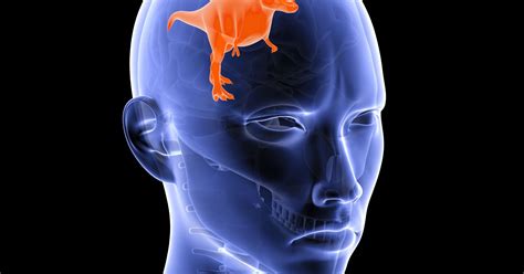 Don’t Listen to Your Lizard Brain | Psychology Today