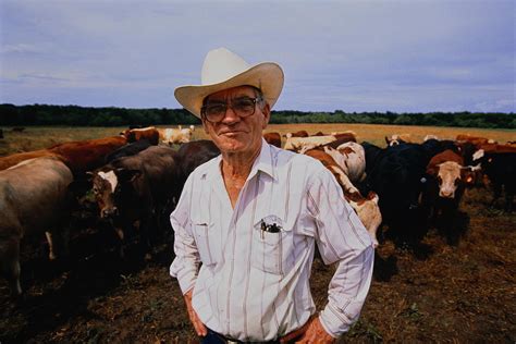 Usa, Texas, Rancher With Cattle Photograph by Andy Sacks | Fine Art America