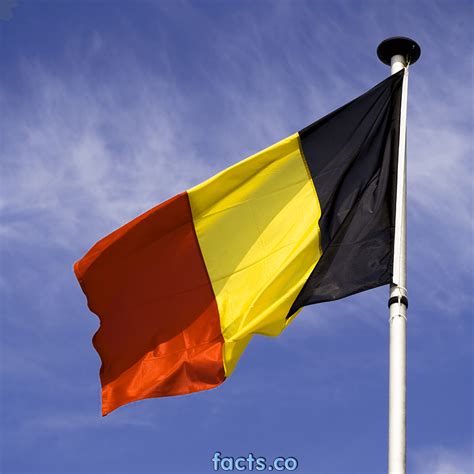 Flag Of Belgium - The Symbol Of Independence. Pictures & Ima