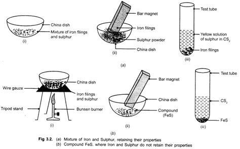 CBSE Class 9 Science Practical Skills - Mixture and Compound - CBSE ...