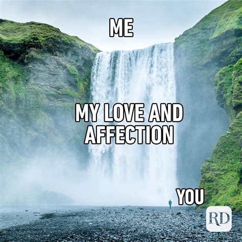 20 Love Memes for Every Occasion | Funny "I Love You" Memes