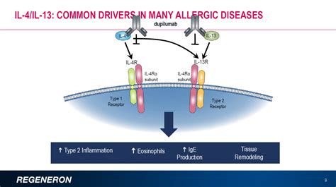 IL-4/IL-13单抗DUPIXENT获得INESSS的积极推荐，用于治疗中度至重度特应性皮炎-MedSci.cn