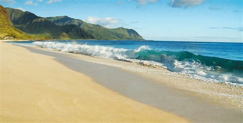 The Beach Summer GIF - Find & Share on GIPHY