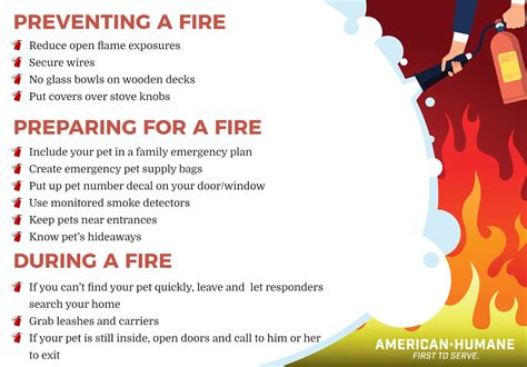 July 15th is National Pet Fire Safety Day - American Humane - American ...